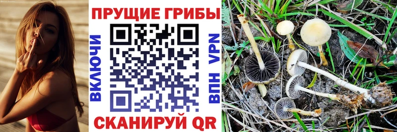 наркотики  Благодарный  Псилоцибиновые грибы прущие грибы 