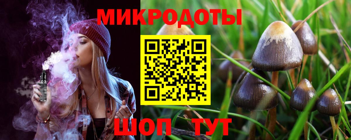 Благодарный  Псилоцибиновые грибы Psilocybine cubensis  Вход с VPN 