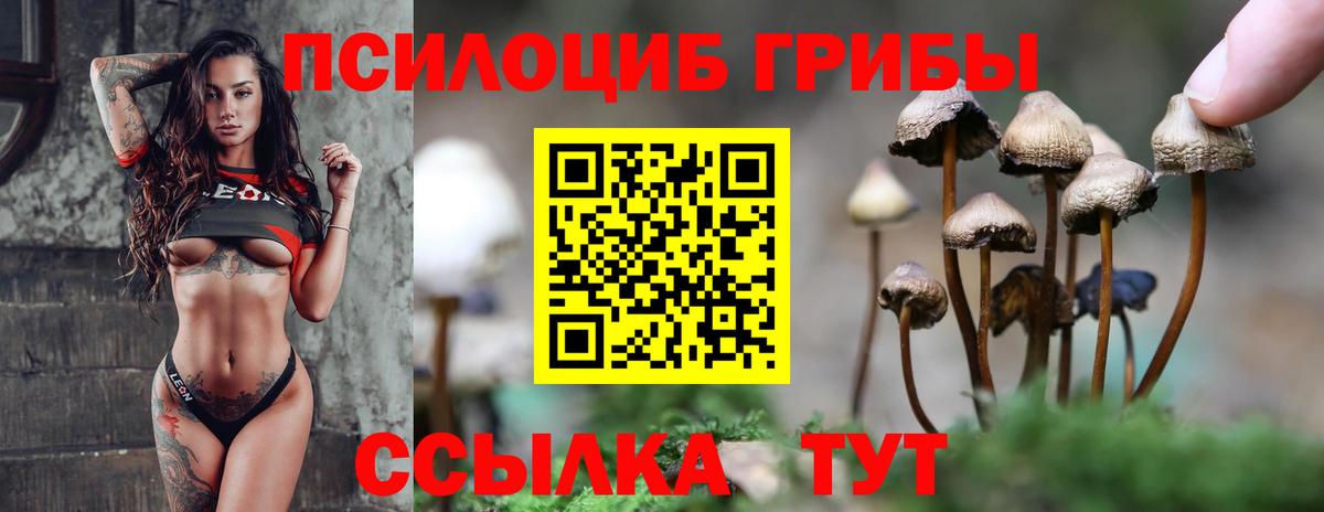Псилоцибиновые грибы MAGIC MUSHROOMS Благодарный